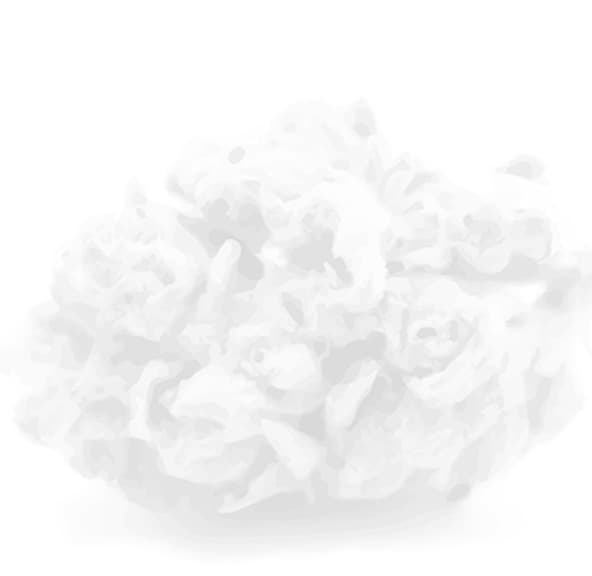 PURE BEAUTY-FLOWER PREROLL-3PK-WHITE CBD